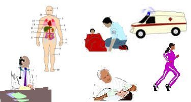 het lichaam dokter, tandarts, verzorging bij ongeval, ziekenwagen, sporten