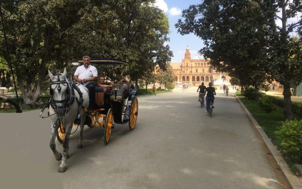 toeristen maken een tochtje in een paardenkoets