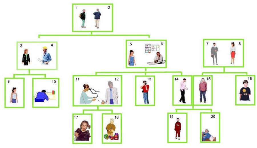 Stamboom van de grote familie