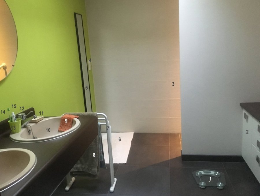 Badkamer met lavabo's, douche, kast, spiegel, inloopdouche, tapijtje, ...