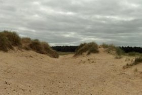 duinen